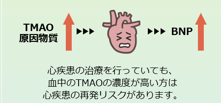 TMAO | 各検査を知る | 人間ドック | 健診会 東京メディカルクリニック
